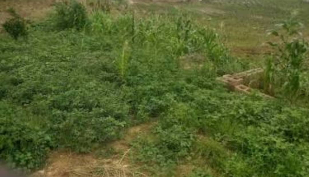 1852.05sqm Mixed-use Land For Sale In Jabi