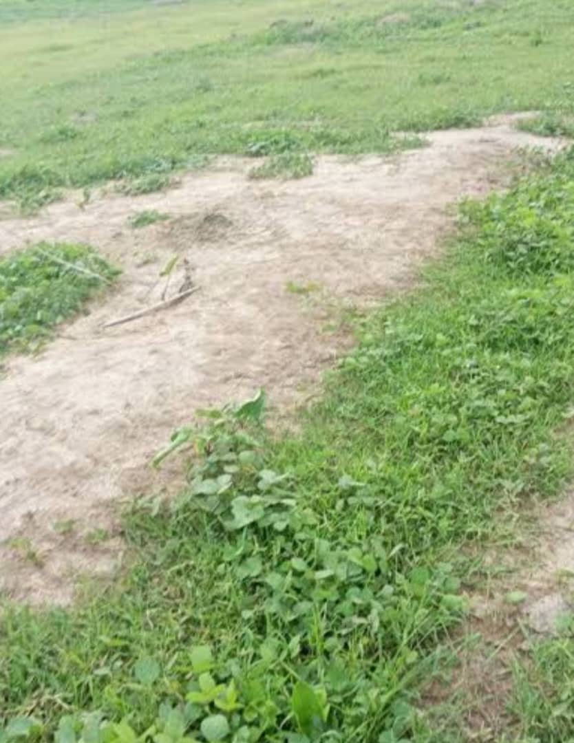 4156Sqm Residential Land For Sale in Mamusa West
