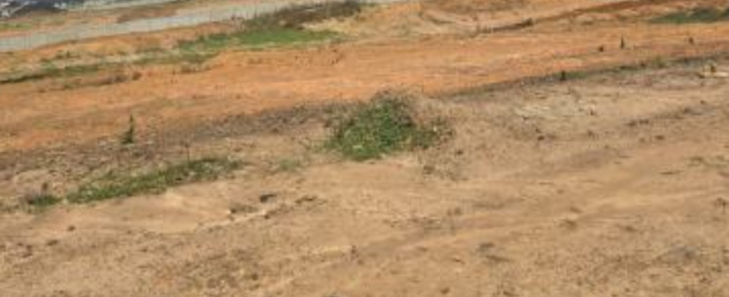 1.36 Hectares Residential Land for Sale in Wawa