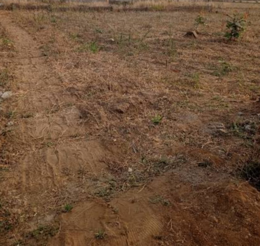 2935.50Sqm Residential Land For Sale in Dallas Carraway