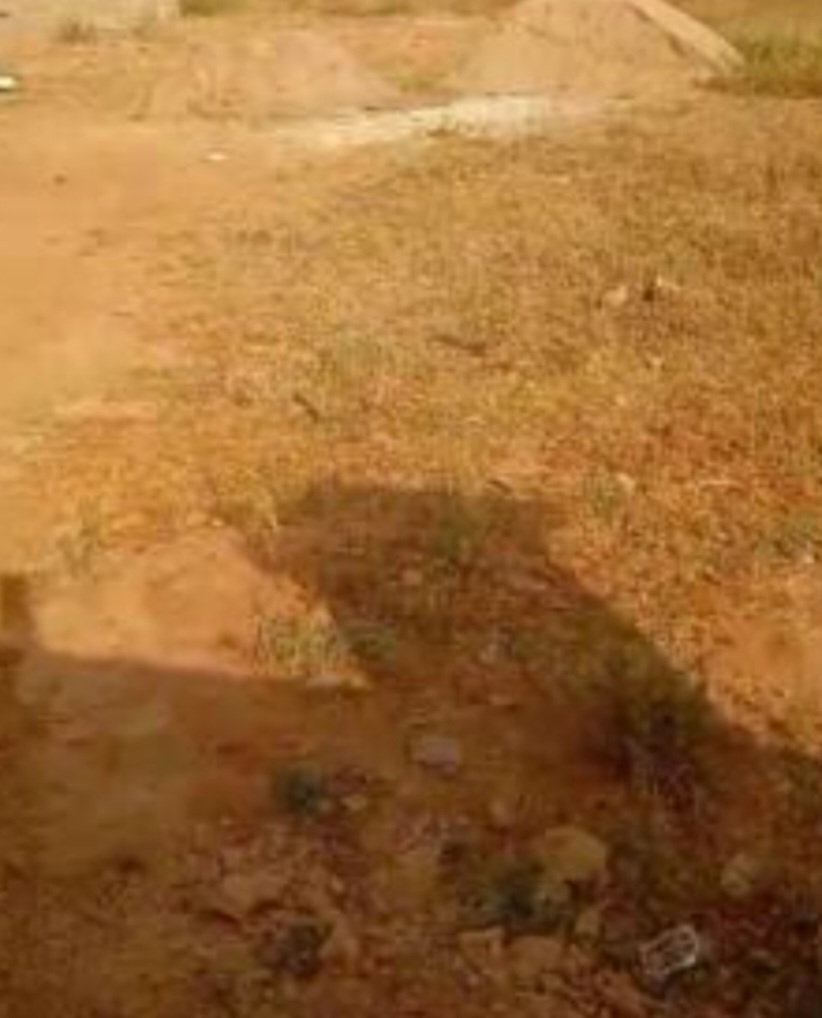 1109.39Sqm Residential Land in Dape For Sale 